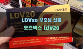 LDV20 부모님 선물 오즈넥스 ldv20로 좋은 이유