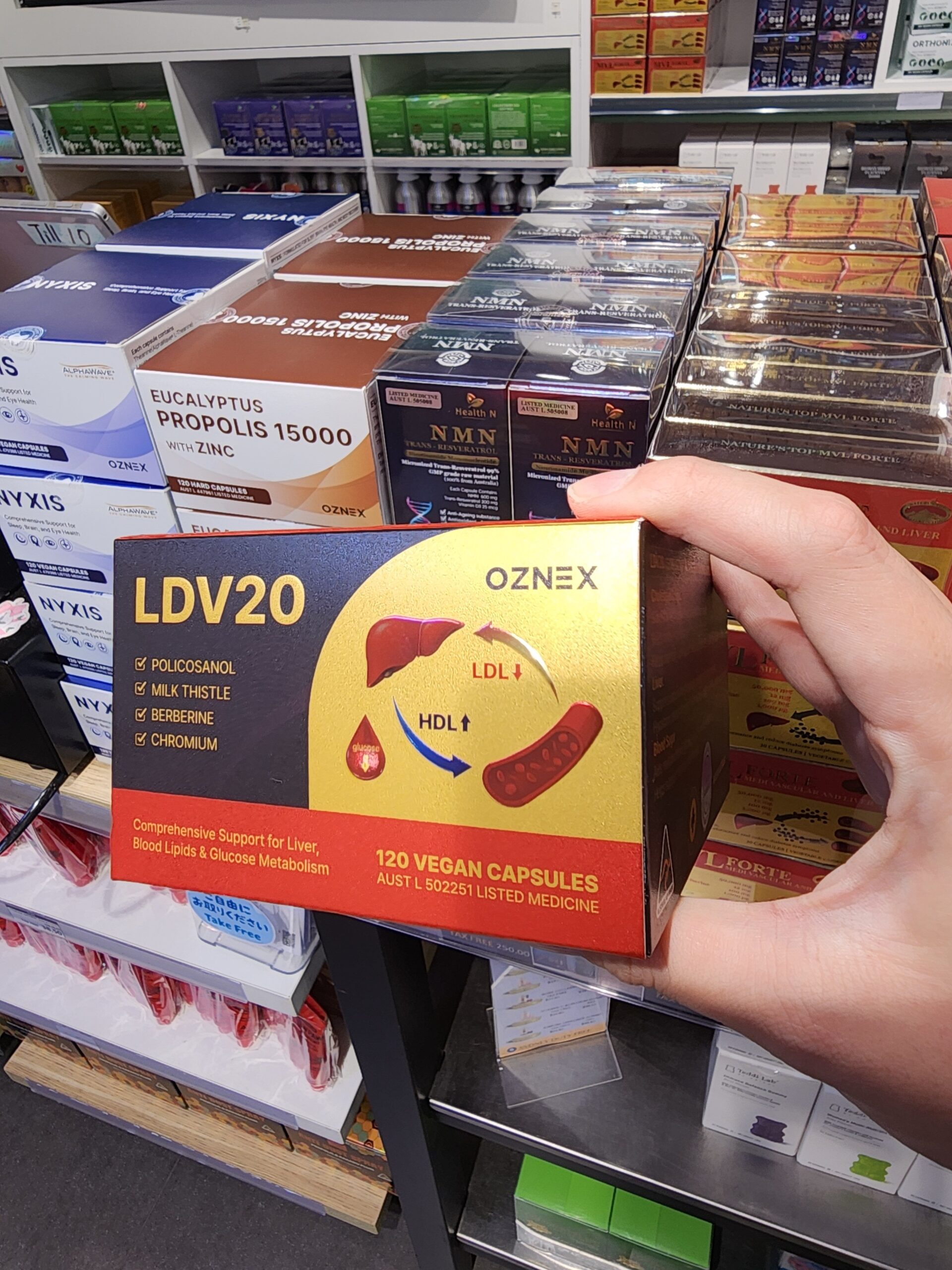 LDV20 부모님 선물