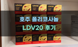 LDV20 사용 가이드와 주의사항
