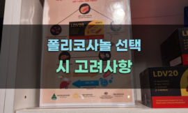 폴리코사놀 선택 시 고려사항