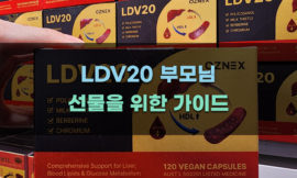 LDV20 부모님 선물을 위한 가이드