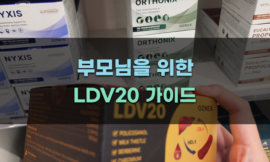 부모님을 위한 LDV20 가이드