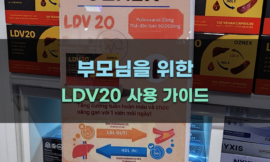 부모님을 위한 LDV20 사용 가이드