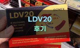 LDV20의 장점과 주의사항