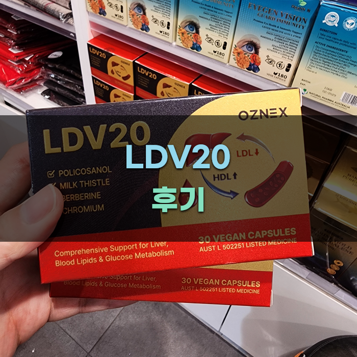 Read more about the article LDV20의 장점과 주의사항