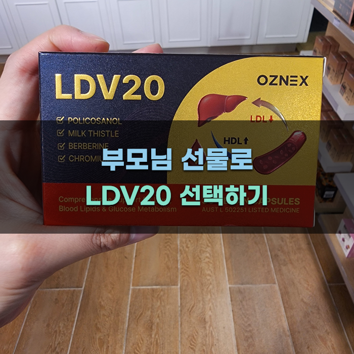 Read more about the article 부모님 선물로 LDV20 선택하기